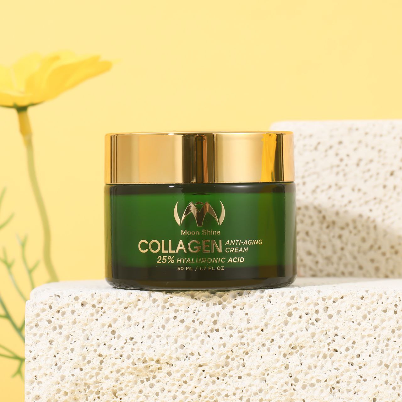 Our Beauty Journey from Kurdistan